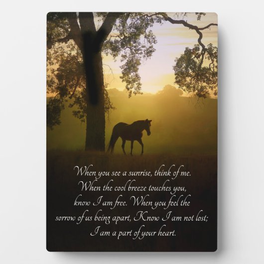 Horse Memorial met Spiritueel gedicht Fotoplaat (voorkant)