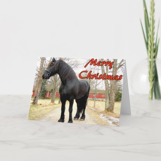Horse Merry Christmas.jpg Feestdagen Kaart (Voorkant)