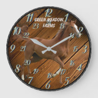 HORSE MET 24 UUR DIAL