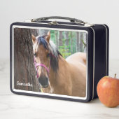 Horse Metal Lunchbox (In situ)