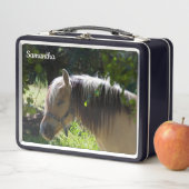 Horse Metal Lunchbox (In situ)