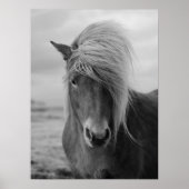 Horse Modern Farmhouse Cabin Western Poster (Voorkant)