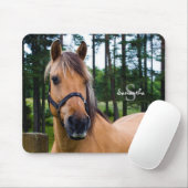 Horse Mouse Muismat (Met muis)
