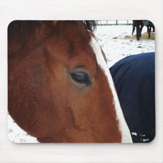 Horse mousemat muismat (Voorkant)