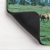 Horse Mousepad Muismat (Hoek)
