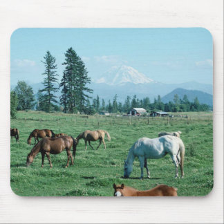 Horse Mousepad Muismat