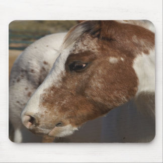 Horse Mousepad Muismat