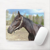 Horse mousepad muismat (Met muis)