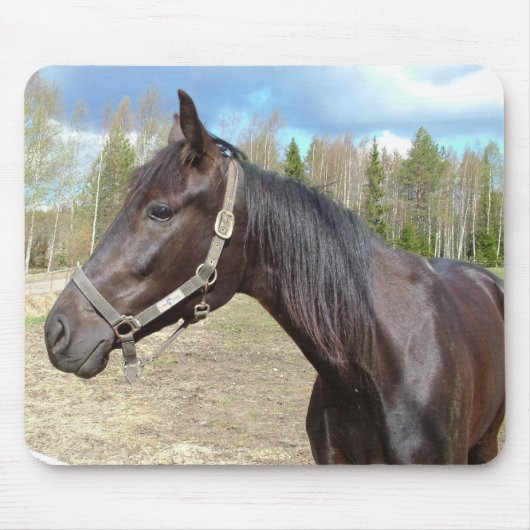 Horse mousepad muismat (Voorkant)