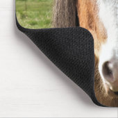 HORSE MUISMAT (Hoek)