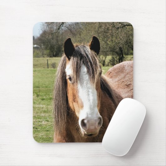 HORSE MUISMAT (Met muis)