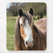 HORSE MUISMAT (Voorkant)