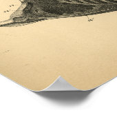 Horse Muscle Anatomy 1908 Vintage Print (Hoek)