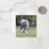 Horse 'n fence! briefkaart (Voorkant / Achterkant in situ)