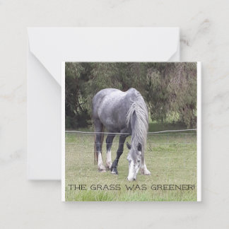 Horse 'n fence! briefkaart