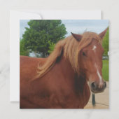 Horse Note Card | Elegant Equestrian Greeting Card (Voorkant)