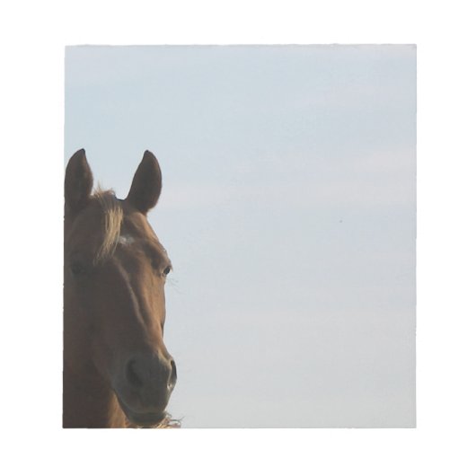 Horse Notpad Notitieblok (Voorkant)