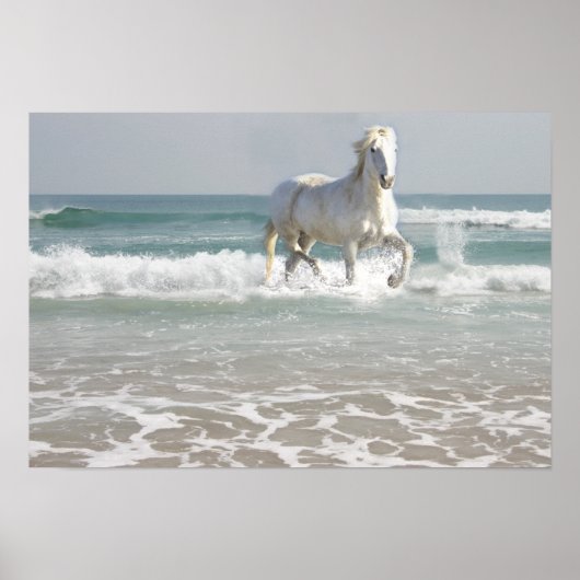 Horse Ocean Beauty Print (Voorkant)