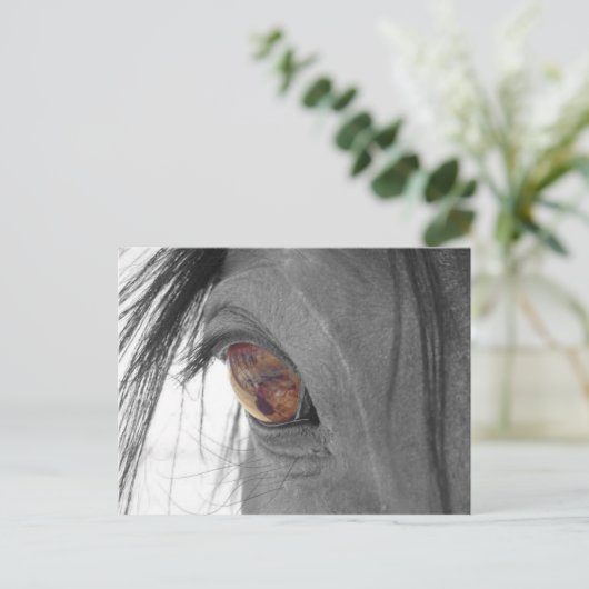 Horse ogen II Briefkaart (Staand voorkant)