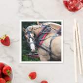 Horse Palomino Harness Servet (Insitu)