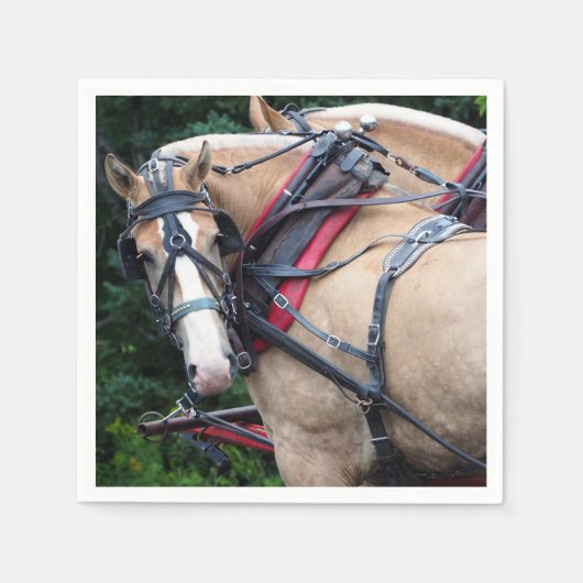 Horse Palomino Harness Servet (Voorkant)