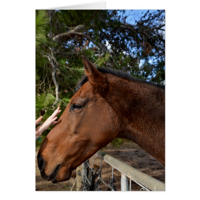 Horse_Pat,_Greeting_Kaart. (Voorkant)