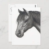 HORSE: PENCIL ART: REALISME BRIEFKAART (Voorkant / Achterkant)
