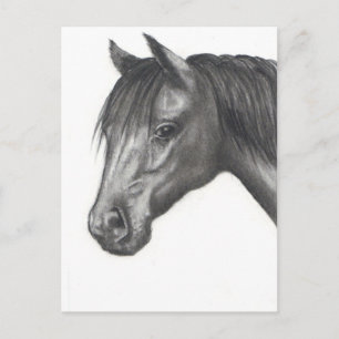 HORSE: PENCIL ART: REALISME BRIEFKAART