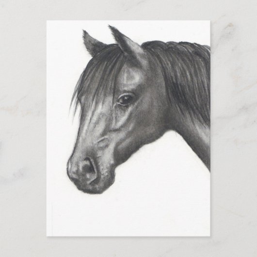 HORSE: PENCIL ART: REALISME BRIEFKAART (Voorkant)