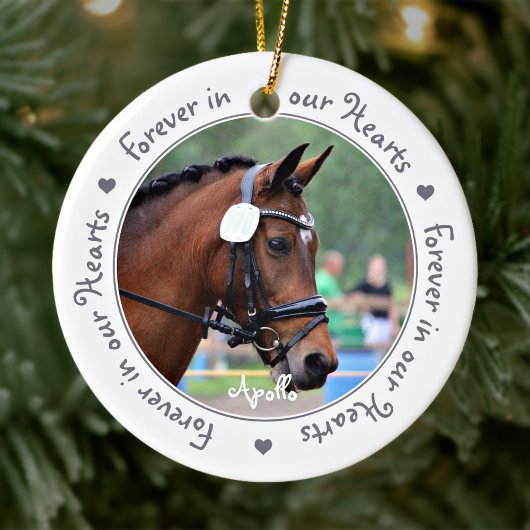 Horse Pet Memorial Keramisch Ornament