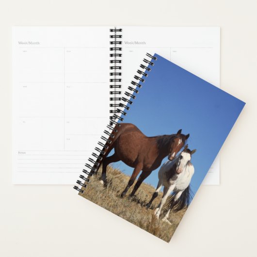 Horse Photo Equine Buddies Planner (Display)