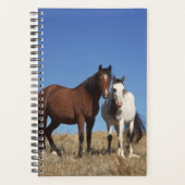 Horse Photo Equine Buddies Planner (Voorkant)