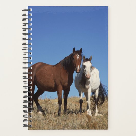 Horse Photo Equine Buddies Planner (Voorkant)