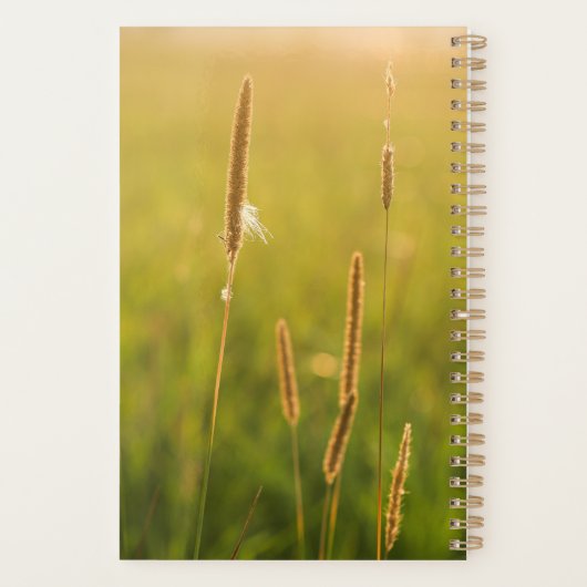 Horse Planner - Spring Theme (Achterkant)