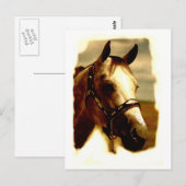 Horse Portrait Briefkaart (Voorkant / Achterkant)