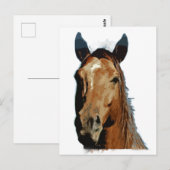 Horse Portrait Briefkaart (Voorkant / Achterkant)