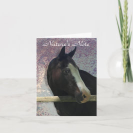 HORSE PORTRAIT FOTO ANIMAAL NOTE KAART