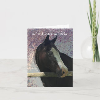 HORSE PORTRAIT FOTO ANIMAAL NOTE KAART