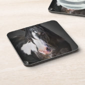 Horse Portrait II Bier Onderzetter (Linkerzijde)