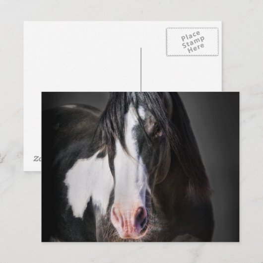 Horse Portrait II Briefkaart (Voorkant / Achterkant)
