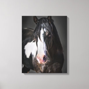 Horse Portrait II Canvas Afdruk