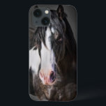 Horse Portrait II Case-Mate iPhone Case<br><div class="desc">Dieren</div>