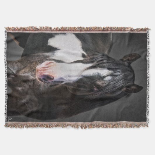 Horse Portrait II Deken (Voorkant)