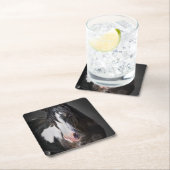 Horse Portrait II Kartonnen Onderzetters (Insitu)