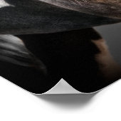 Horse Portrait II Poster (Hoek)