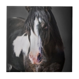 Horse Portrait II Tegeltje