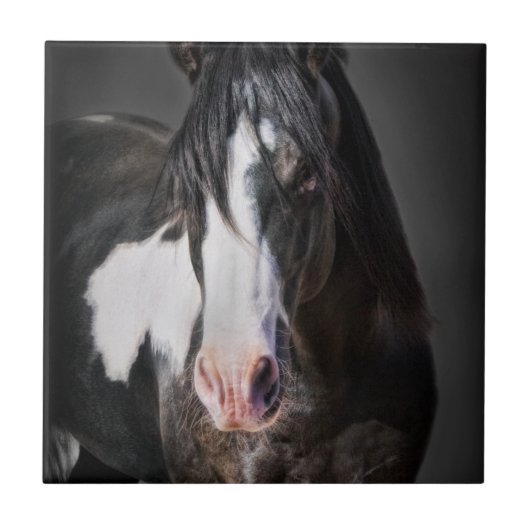 Horse Portrait II Tegeltje (Voorkant)