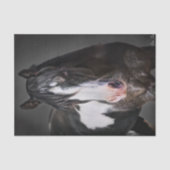 Horse Portrait II Tissuepapier (Voorkant)