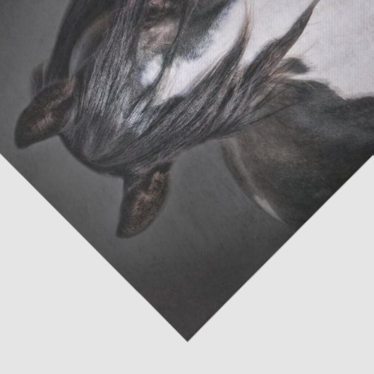 Horse Portrait II Tissuepapier (Detail)