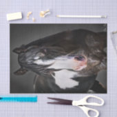 Horse Portrait II Tissuepapier (Craft)